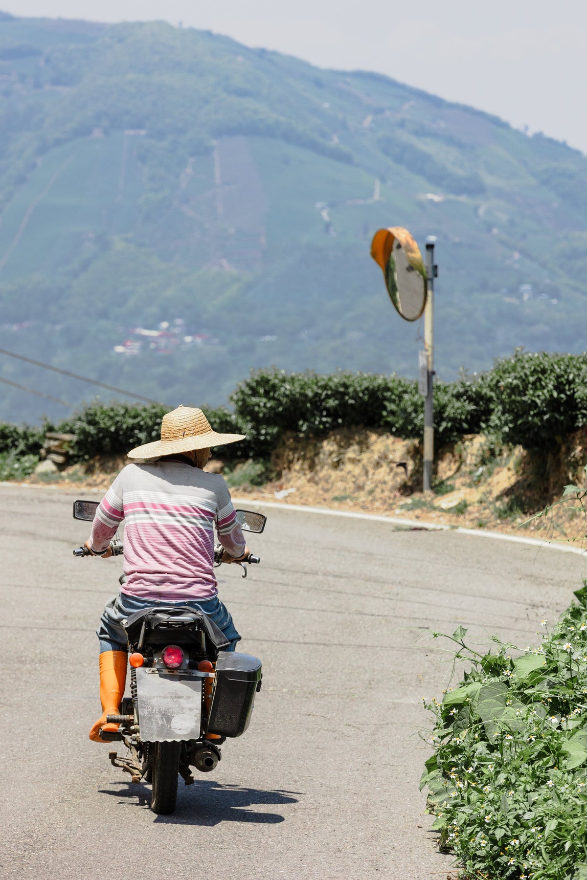 Where to Learn About Tea in Taiwan